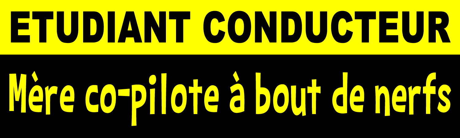 Etudiant Conducteur Vinyl Sticker, Window Cling or Magnet in UV Laminate Coating - Custom Bumper Sticker, Vinyl Sticker, or Magnet