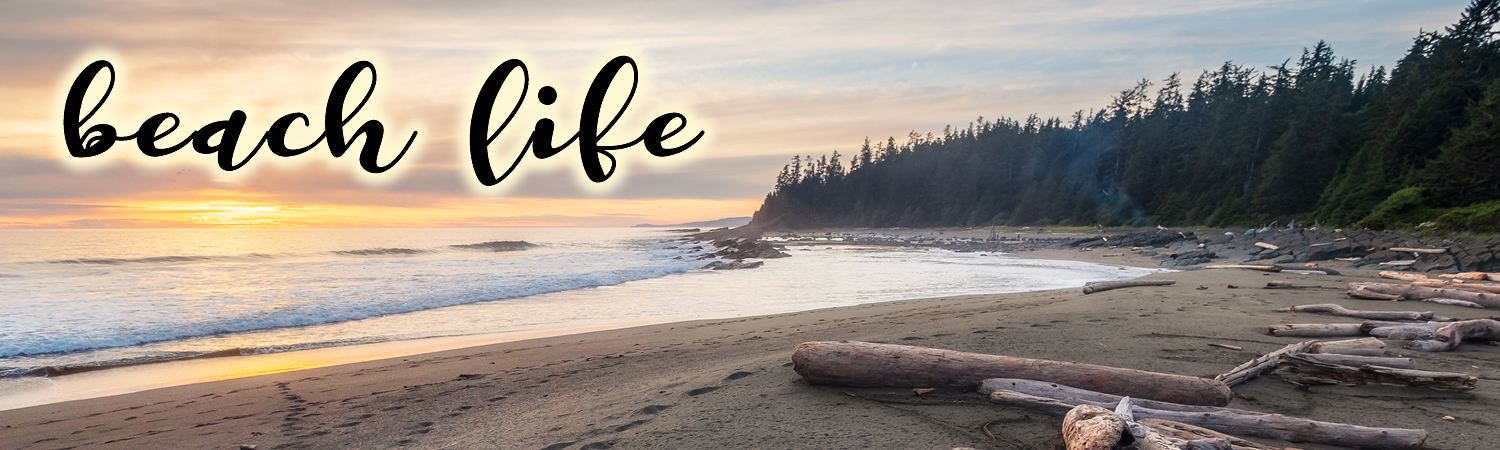 Beach Life Custom Vinyl Sticker, Window Cling or Magnet in UV Laminate Coating - Custom Bumper Sticker, Vinyl Sticker, or Magnet