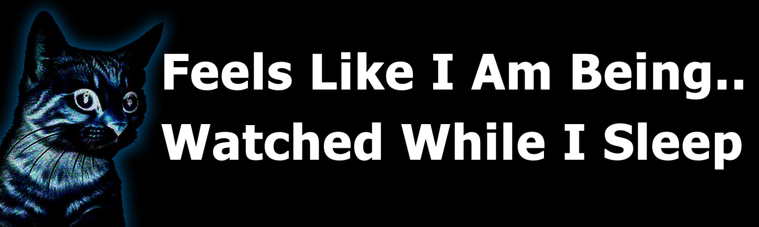 Feels Like I Am Being Watched While I Sleep Vinyl Bumper Sticker, Window Cling or Bumper Sticker Magnet in UV Laminate Coating - Custom Bumper Sticker, Vinyl Sticker, or Magnet