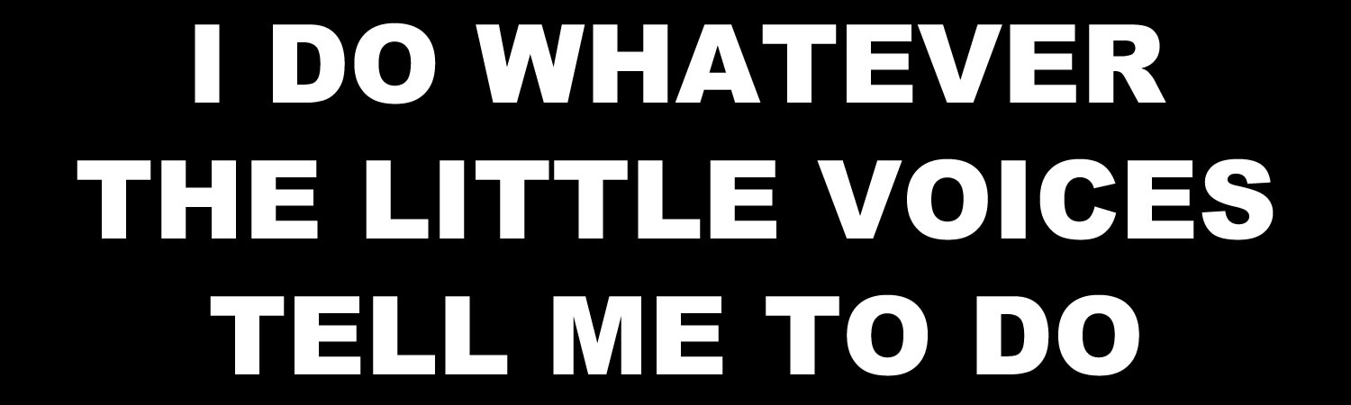  I Do Whatever The Little Voices Tell Me To Do  - Custom Bumper Sticker, Vinyl Sticker, or Magnet