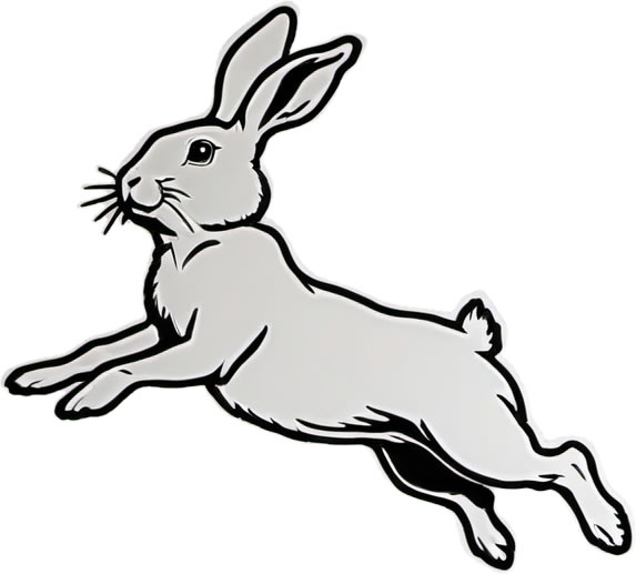 Rabbit Vinyl Bumper Sticker  Window Cling or Bumper Sticker Magnet in UV Laminate Coating - Custom Bumper Sticker, Vinyl Sticker, or Magnet