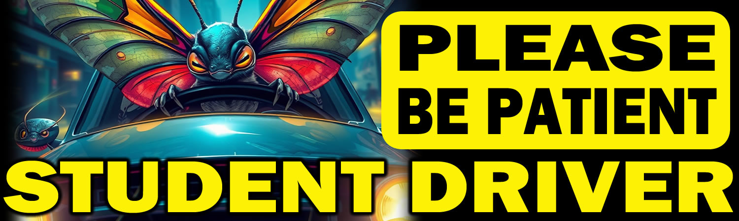 Please be Patient Student Driver Vinyl Bumper Sticker  Window Cling or Bumper Sticker Magnet in UV Laminate Coating - Custom Bumper Sticker, Vinyl Sticker, or Magnet