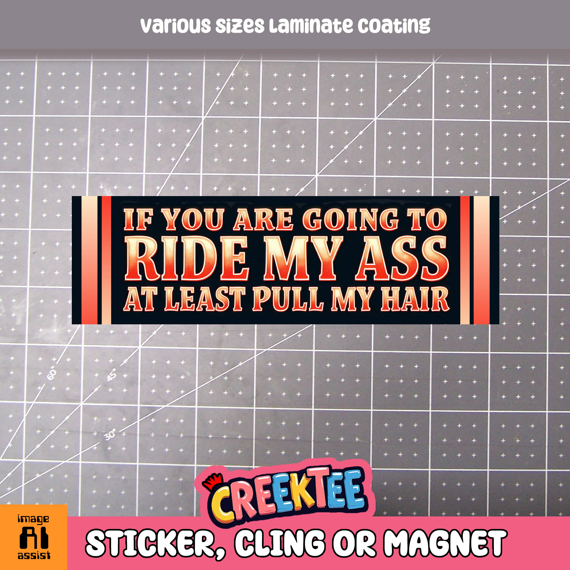 If You Are Going to Ride My Ass At Least Pull My Hair Vinyl Bumper Sticker  Window Cling or Magnet in UV Laminate Coating and Various Sizes - Custom Bumper Sticker, Vinyl Sticker, or Magnet