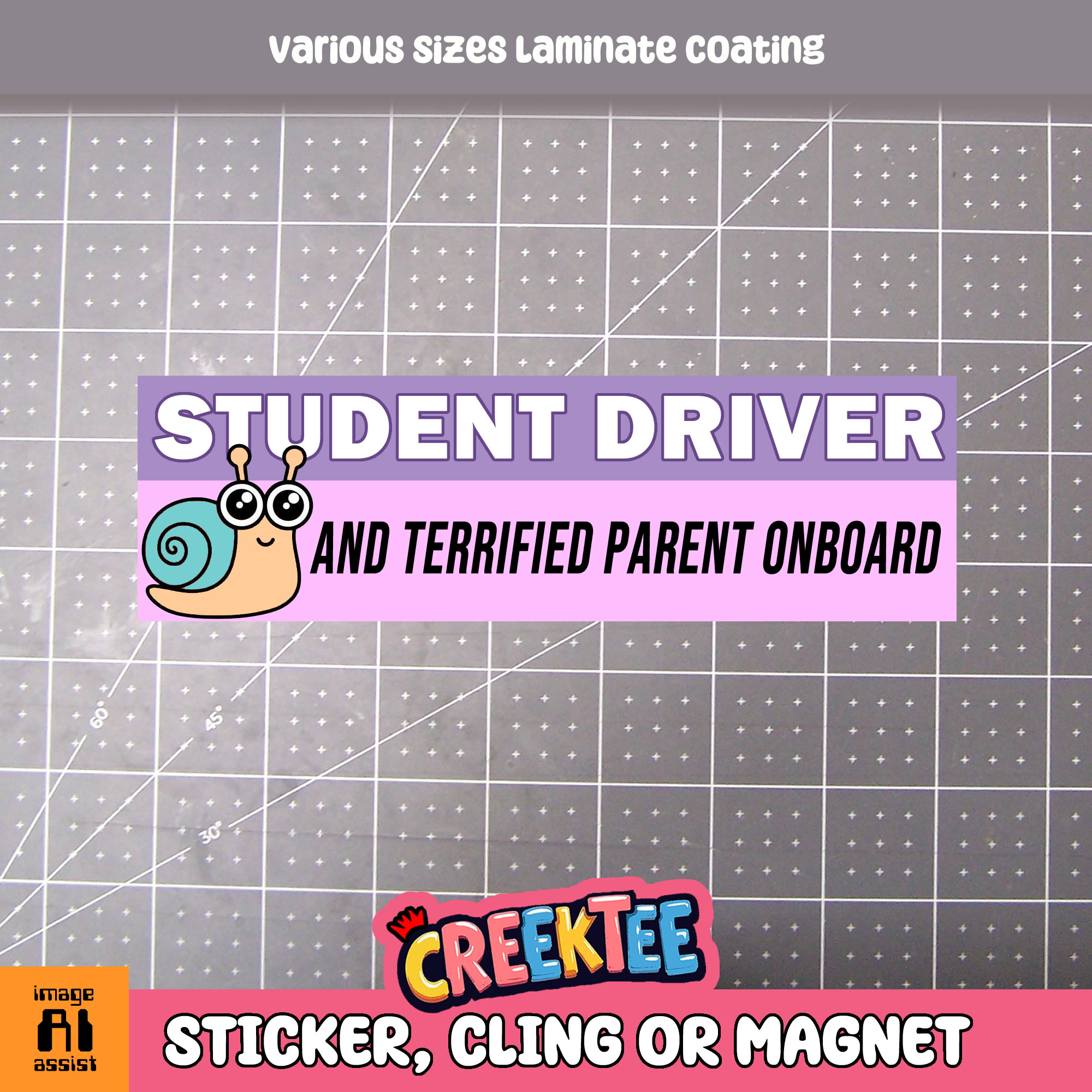 Student Driver and Terrified Parent Onboard Vinyl Bumper Sticker  Window Cling or Magnet in UV Laminate Coating and Various Sizes - Custom Bumper Sticker, Vinyl Sticker, or Magnet