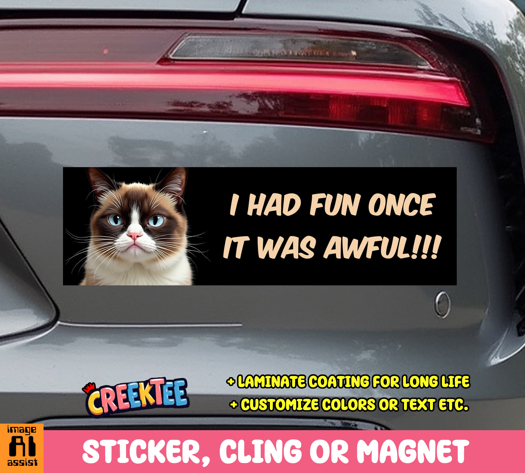 I Had Fun Once It Was Awful Vinyl Bumper Sticker  Window Cling or Magnet in UV Laminate Coating and Various Sizes - Custom Bumper Sticker, Vinyl Sticker, or Magnet
