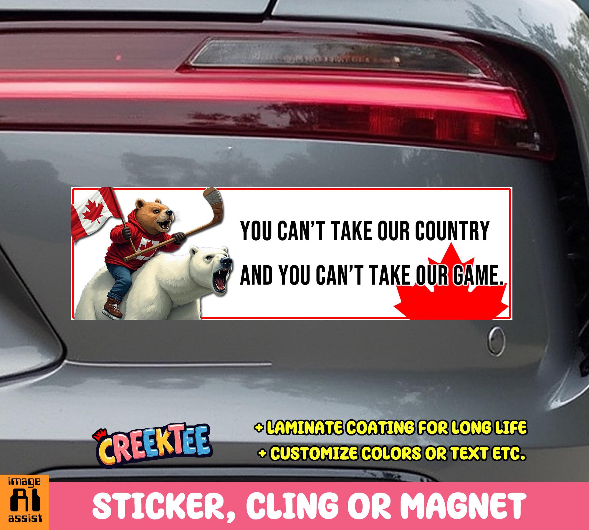 You Can t Take Our Country and You Can t Take Our Game Vinyl Bumper Sticker  Window Cling or Magnet in UV Laminate Coating and Various Sizes - Custom Bumper Sticker, Vinyl Sticker, or Magnet