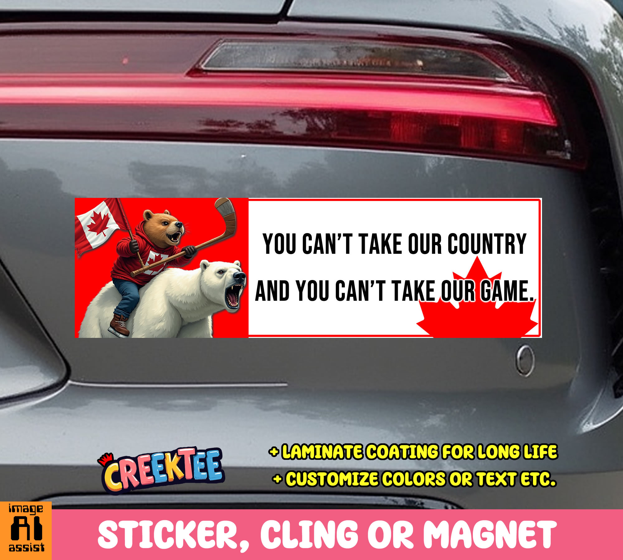 You Can t Take Our Country and You Can t Take Our Game Vinyl Bumper Sticker  Window Cling or Magnet in UV Laminate Coating and Various Sizes - Custom Bumper Sticker, Vinyl Sticker, or Magnet